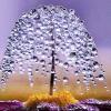 Fb img 1457047102022