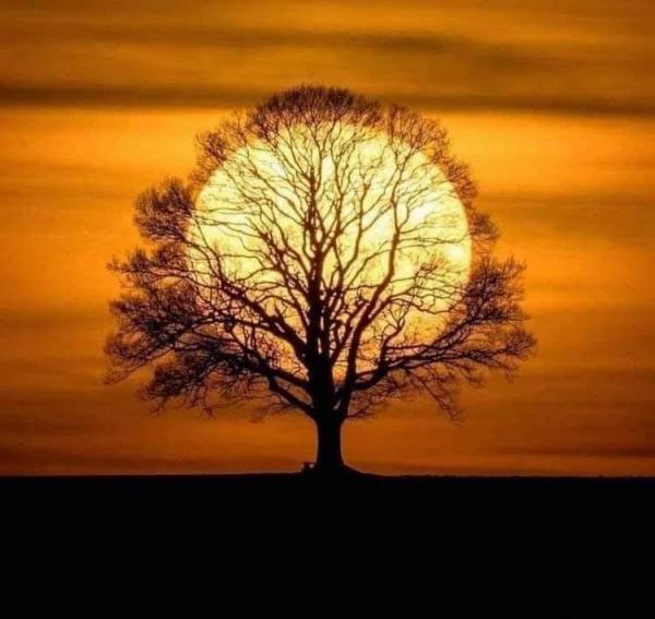 Reiki